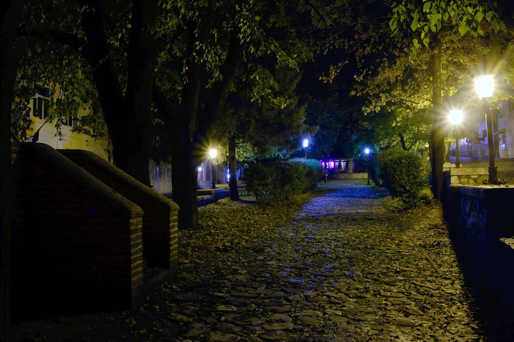 סינגאני Peter'S Guest House מראה חיצוני תמונה